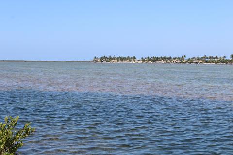 26 Beach Dr, Saddlebunch, FL 33040 photo 4