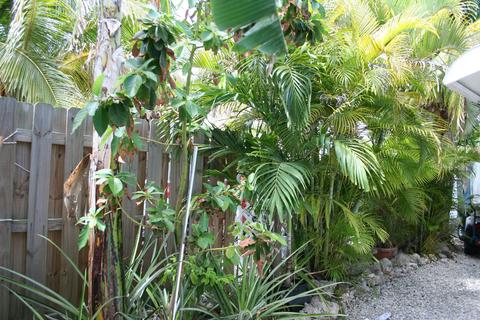 174 Second Ct, Key Largo, FL 33037 photo 21