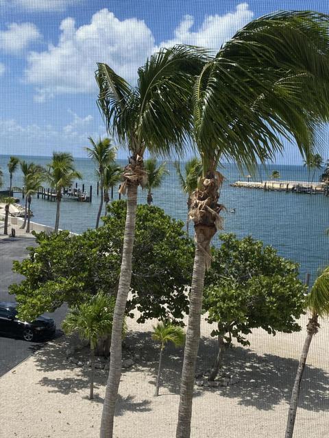 2000 Coco Plum Dr #302, Marathon, FL 33050 photo 3