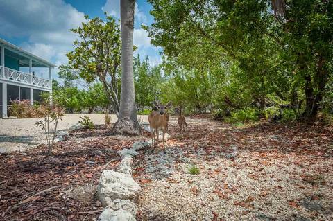 30730 Watson Blvd, Big Pine Key, FL 33043 photo 42