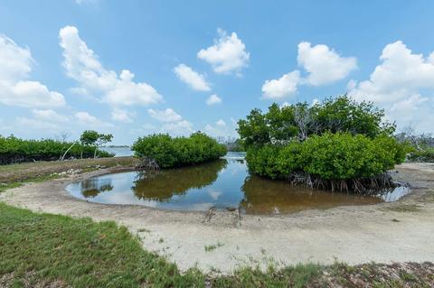 30730 Watson Blvd, Big Pine Key, FL 33043 photo 37