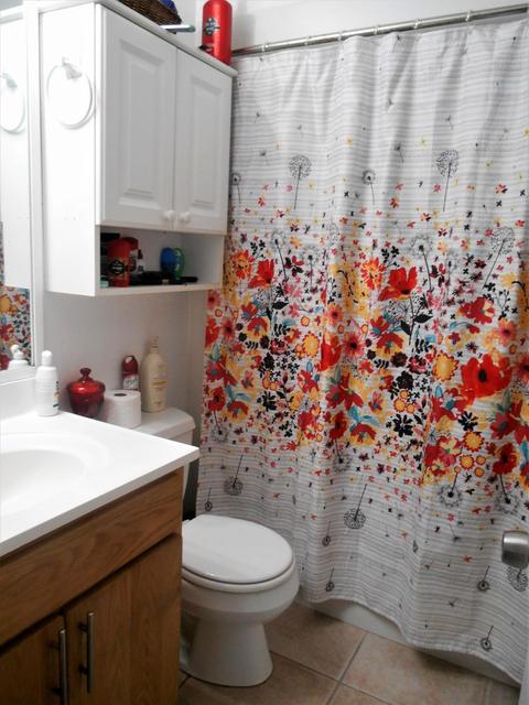 29677 Constitution Ave, Big Pine Key, FL 33043 photo 12
