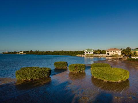 211 David Ln, Marathon, FL 33050 photo 63