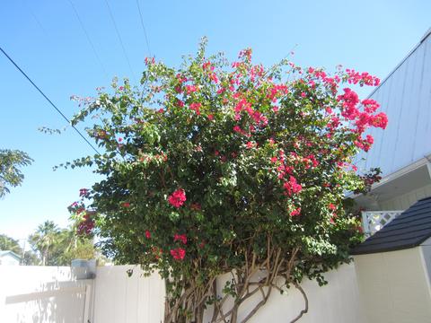 3320 Eagle Ave, Key West, FL 33040 photo 25