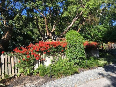 108 Point Pleasant Dr, Key Largo, FL 33037 photo 85