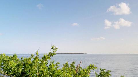 3826 Dyer Rd, Big Pine Key, FL 33043 photo 51