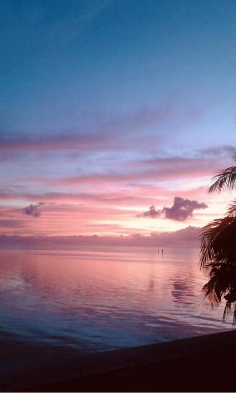 90 Seagate Blvd, Key Largo, FL 33037 photo 42
