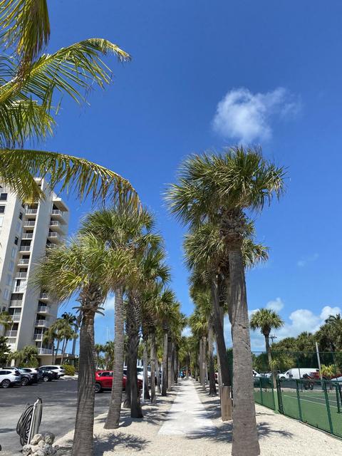 2000 Coco Plum Dr #904, Marathon, FL 33050 photo 21