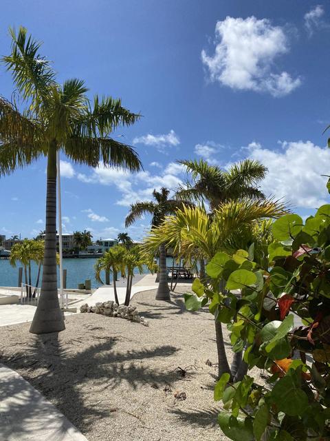 2000 Coco Plum Dr #904, Marathon, FL 33050 photo 39