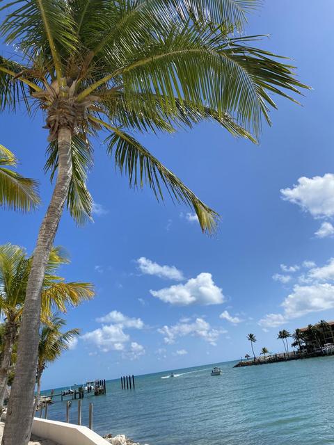 2000 Coco Plum Dr #904, Marathon, FL 33050 photo 4