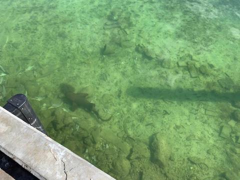 823 S Ruby Dr, Key Largo, FL 33037 photo 27