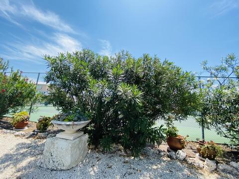 820 S Ruby Dr, Key Largo, FL 33037 photo 16