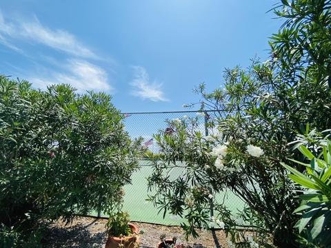 820 S Ruby Dr, Key Largo, FL 33037 photo 17