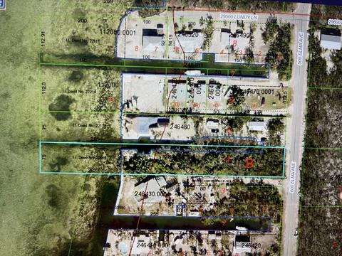 660 Elma Ave, Big Pine Key, FL 33043 photo 1