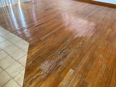 2 Snipe Rd, Key Largo, FL 33037 photo 56