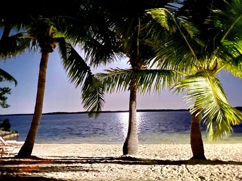 15 Bonefish Ave, Key Largo, FL 33037 photo 65