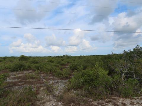 550 Middle Torch Rd, Middle Torch, FL 33042 photo 1