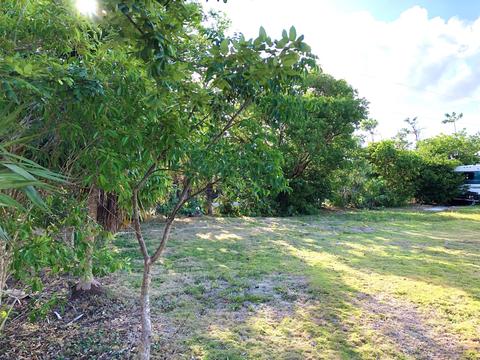 2816 Central Ave, Big Pine Key, FL 33043 photo 4
