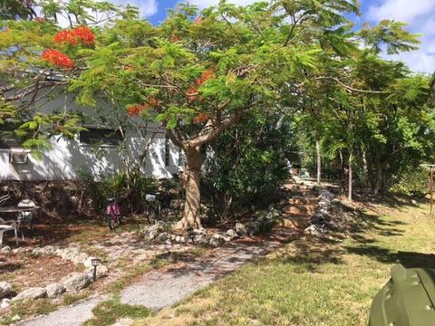 29111 Watson Blvd, Big Pine Key, FL 33043 photo 25