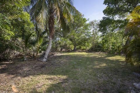30436 Date Row, Big Pine Key, FL 33043 photo 22