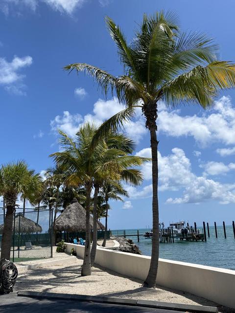 2000 Coco Plum Dr #305, Marathon, FL 33050 photo 13