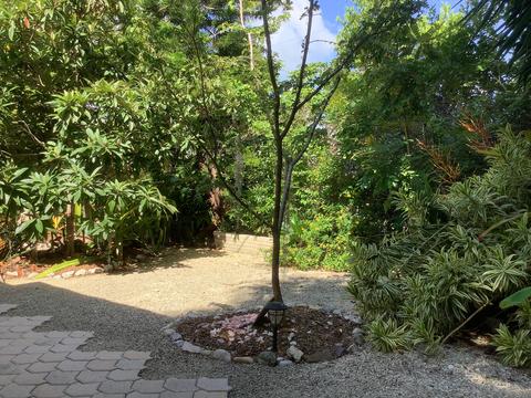 809 Largo Rd, Key Largo, FL 33037 photo 21