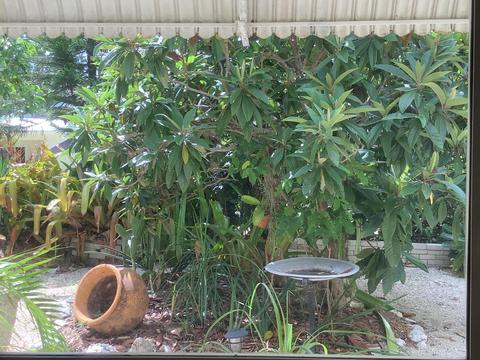 809 Largo Rd, Key Largo, FL 33037 photo 8