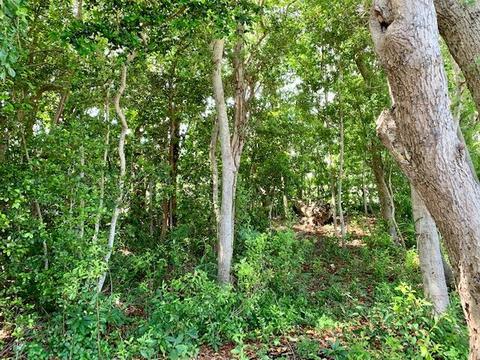 802 S Emerald Dr, Key Largo, FL 33037 photo 37