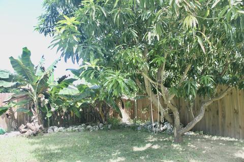 8046 Tuna Dr, Marathon, FL 33050 photo 65
