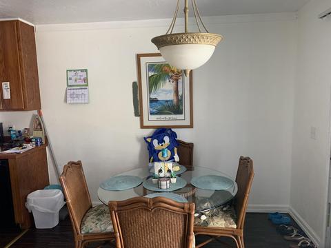 29136 Violet Dr, Big Pine Key, FL 33043 photo 8