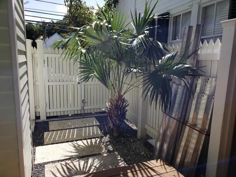 709 Olivia St, Key West, FL 33040 photo 44