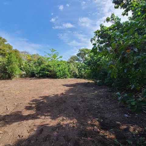 459 Margate Dr, Marathon, FL 33050 photo 1