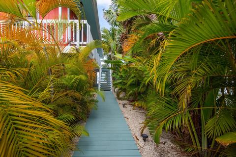 30883 Granada Ave, Big Pine Key, FL 33043 photo 15