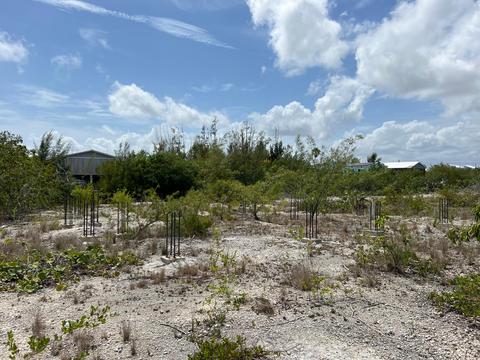 198 Horvath Rd, Big Pine Key, FL 33043 photo 7