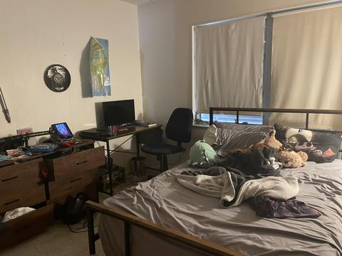 29530 Enterprise Ave, Big Pine Key, FL 33043 photo 11