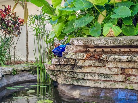 409 Cactus Dr, Key West, FL 33040 photo 70