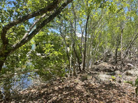 2136 San Marco Dr, Big Pine Key, FL 33043 photo 3