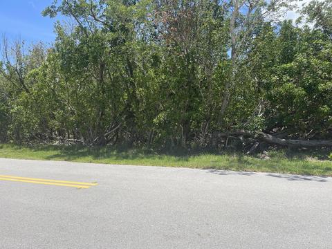 2136 San Marco Dr, Big Pine Key, FL 33043 photo 5