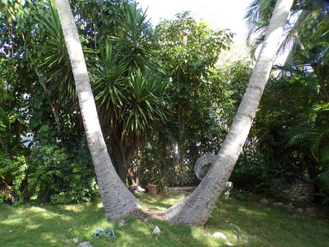 3 Cindy Pl, Key Largo, FL 33037 photo 5