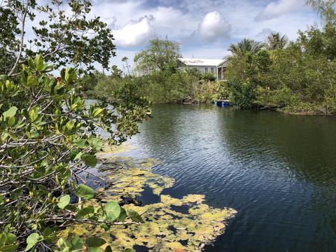 161 Horvath Rd, Big Pine Key, FL 33043 photo 52