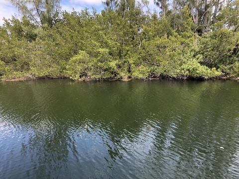 161 Horvath Rd, Big Pine Key, FL 33043 photo 51