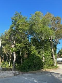 0 Rose Pl, Key Largo, FL 33037 photo 6