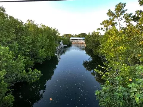 1547 Narcissus Ave, Big Pine Key, FL 33043