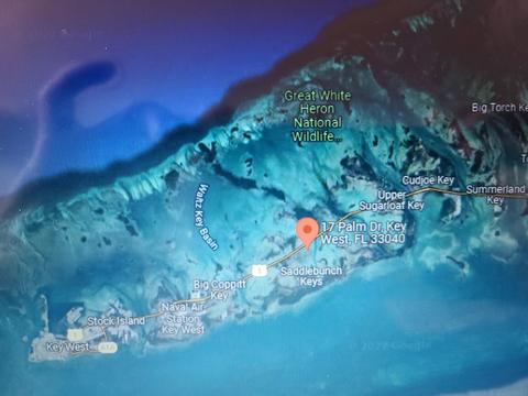 19 Palm Dr, Saddlebunch, FL 33040
