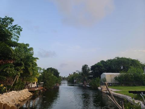 19 Palm Dr, Saddlebunch, FL 33040 photo 5