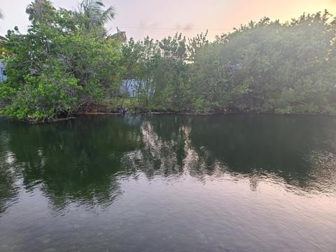 19 Palm Dr, Saddlebunch, FL 33040 photo 7
