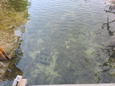 19 Palm Dr, Saddlebunch, FL 33040 photo 2