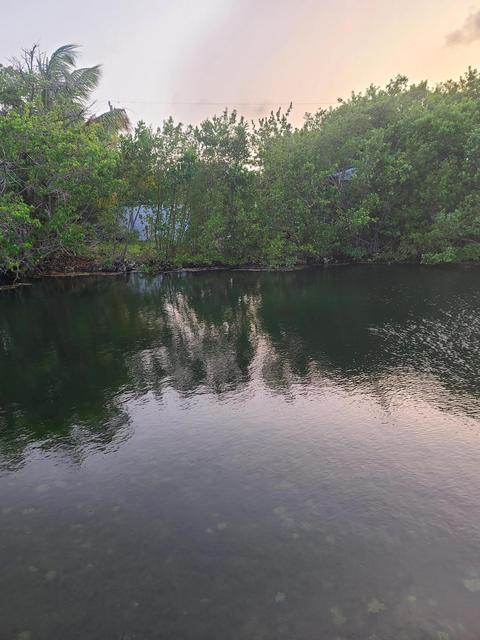 19 Palm Dr, Saddlebunch, FL 33040 photo 6