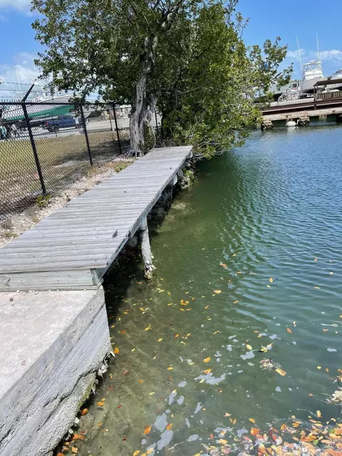2 Coco Plum Dr, Marathon, FL 33050 photo 2
