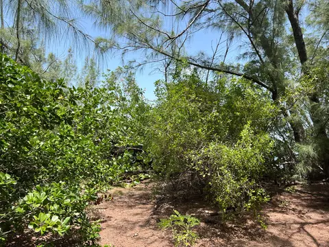 E Circle Dr., Saddle Bunch, FL 33040 photo 5